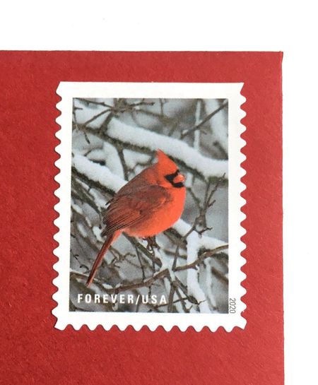 100 Cardinal Forever Stamps Christmas Cardinal Postage Stamps Red Cardinal Forever Stamps for Mailing